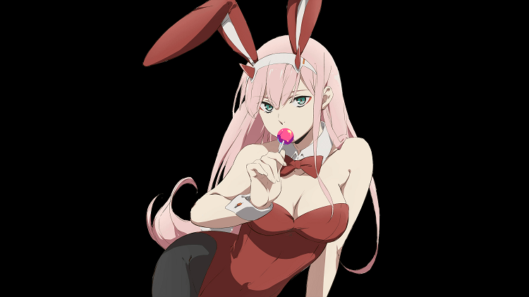 Bunny Girl Costume