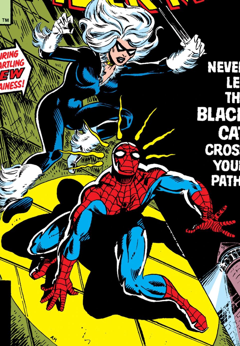 Amazing Spider-Man #194 Black Cat